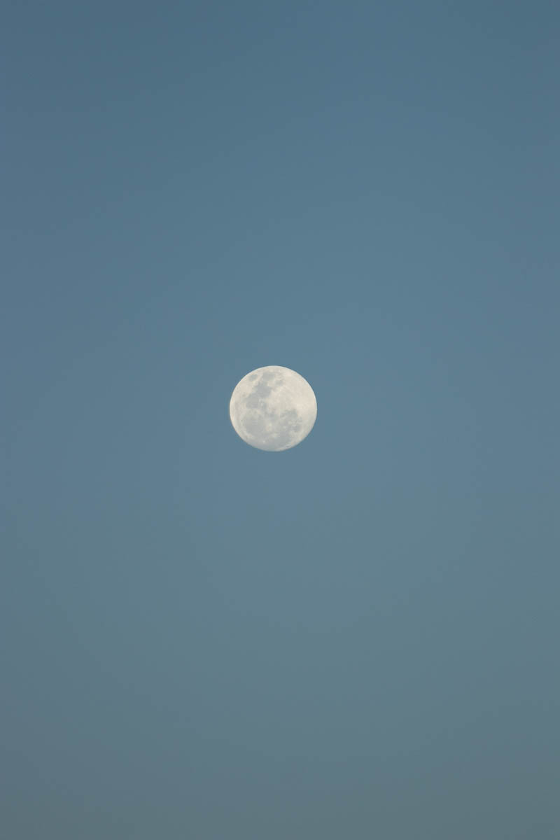 Full moon rises...